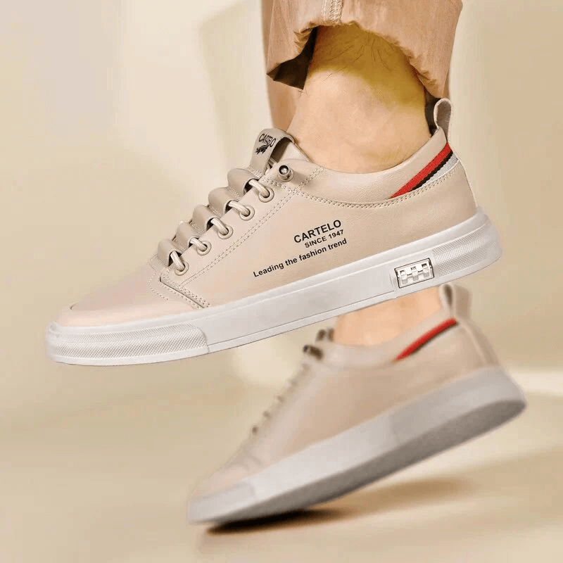 Tenis Casual Caballero Cartelo